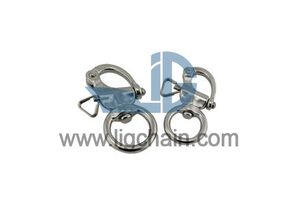 Swivel Snap Shackle With Eye End 